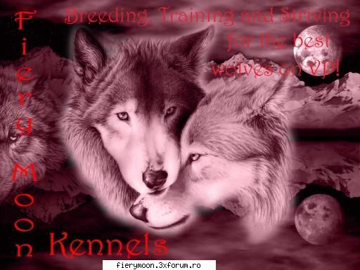 regulament >>>>>>>>> momentul care postat forum considera citit acest regulament intregime esti